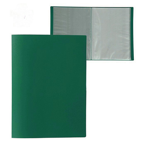 Папка с файлами 10ф "BASIC", 0,50 мм,зеленая 255066-03