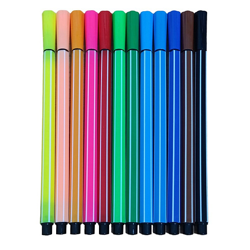 Фломастеры 12 цв. 9912-12 в тубусе