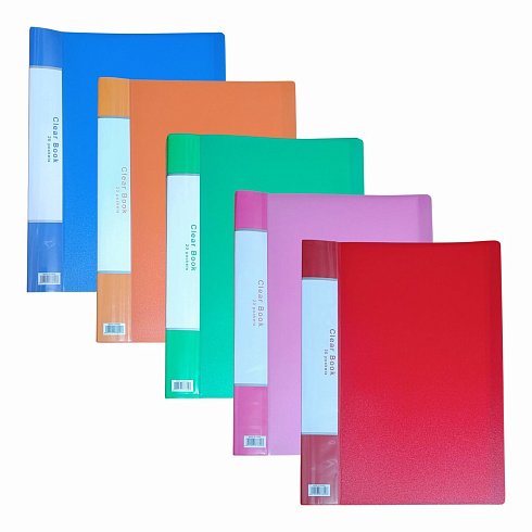 Папка с файлами  А4 Sheeny на 20 файлов Арт.F1220, YL20AB