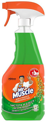 Средство для мытья окон с распылителем Мистер Мускул Утренняя роса