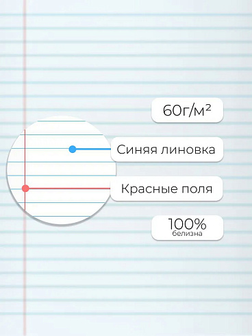 Тетрадь 12л. линия Классическая голубая ТК128589 обл.мел.карт.