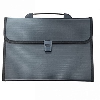 Портфель -папка 412 А с файлами плотный