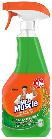 Средство для мытья окон с распылителем Мистер Мускул Утренняя роса
