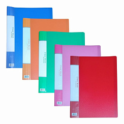 Папка с файлами  А4 Sheeny на 20 файлов Арт.F1220, YL20AB