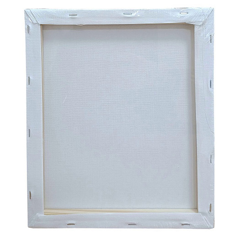 Холст 25*30 YL20H2530