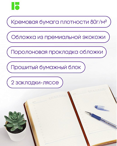 Ежедневник недатир., 160л, А5 кожзам, Berlingo "xGold" зол. срез. коричневый UD0_81503