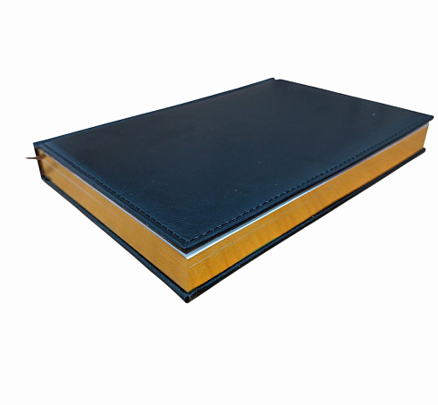 Ежедневник А5 полудат.лин.черный, золот.срез KZ, арт.JN-A5-2G