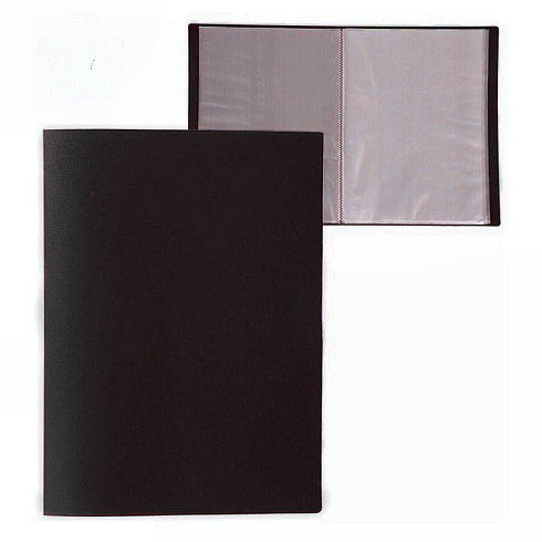 Папка с файлами 10ф "BASIC", 0,50 мм, черный арт.255066-01