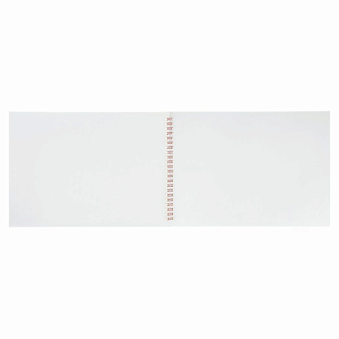 Альбом д/рис. 40 листов на спирали /РАША/