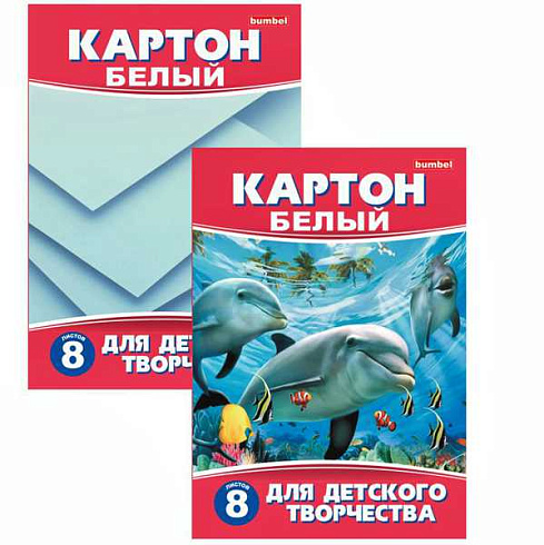 Картон белый А4 8л Раша мелов