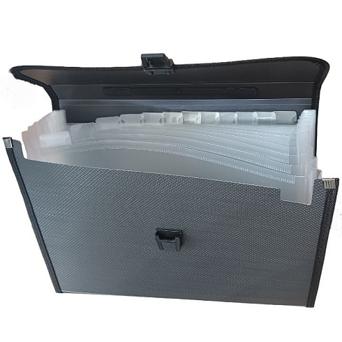 Портфель -папка 412 А с файлами плотный